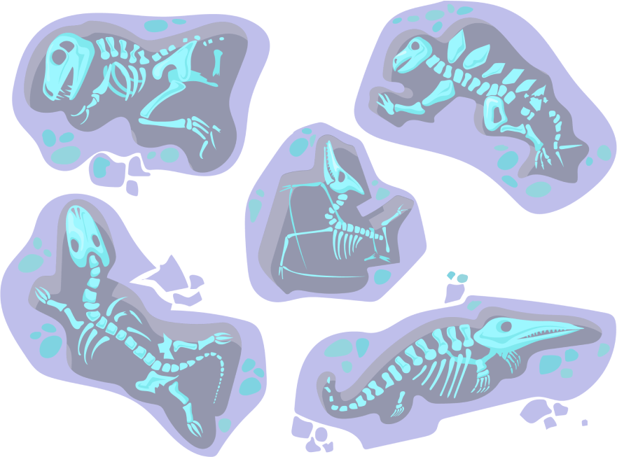 Illustration of five dinosaur fossils lying buried in the ground